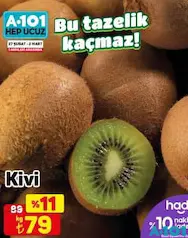 KİVİ KG KİVİ KG